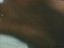 Thumbnail 31