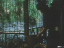 Thumbnail 37