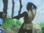 Thumbnail 43