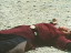 Thumbnail 91