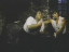 Thumbnail 17