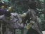 Thumbnail 36