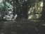 Thumbnail 38