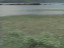 Thumbnail 76