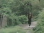 Thumbnail 81