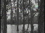 Thumbnail 22