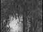 Thumbnail 25