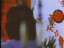 Thumbnail 16