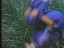 Thumbnail 38