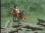 Thumbnail 62
