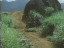 Thumbnail 65