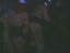 Thumbnail 29