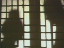 Thumbnail 80