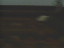 Thumbnail 61