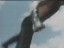 Thumbnail 48