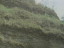 Thumbnail 65