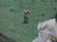 Thumbnail 86