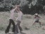 Thumbnail 22