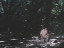 Thumbnail 45