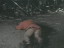 Thumbnail 85