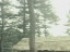 Thumbnail 23