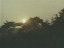 Thumbnail 29