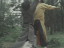 Thumbnail 82