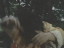 Thumbnail 83