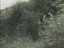 Thumbnail 42
