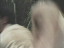 Thumbnail 55