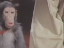 Thumbnail 16