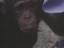 Thumbnail 38
