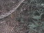 Thumbnail 53