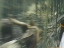 Thumbnail 52