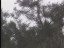 Thumbnail 79
