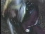 Thumbnail 85