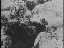Thumbnail 34