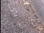Thumbnail 56