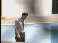 Thumbnail 26