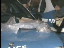 Thumbnail 22