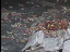Thumbnail 19