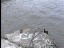 Thumbnail 16