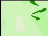 Thumbnail 21