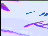Thumbnail 22