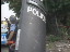 Thumbnail 40