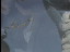 Thumbnail 27