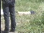 Thumbnail 22