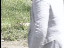 Thumbnail 23