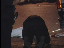 Thumbnail 26
