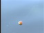 Thumbnail 45